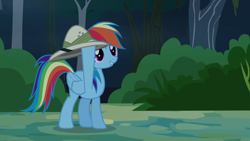 Size: 1280x720 | Tagged: safe, screencap, rainbow dash, pegasus, pony, daring don't, g4, season 4, bush, female, folded wings, forest, hat, mare, solo