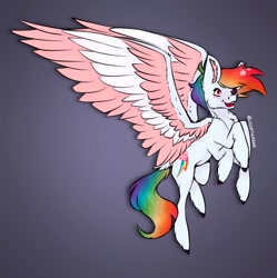 Size: 1249x1252 | Tagged: safe, artist:louarthur8, rainbow dash, oc, oc only, demon, demon pony, hybrid, monster pony, original species, pegasus, pony, spider, spiderpony, undead, g4, angel dust (hazbin hotel), colored wings, crossover, crossover fusion, flying, fusion, fusion:angel dash, fusion:angel dust, fusion:rainbow dash, gradient background, hazbin hotel, hellaverse, heterochromia, hybrid fusion, intersex, multiple legs, multiple limbs, nonbinary, ponified, signature, sinner demon, six legs, solo, spider demon, spiderdash, spiderpony demon, two toned wings, unshorn fetlocks, wings
