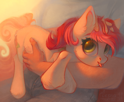 Size: 2497x2058 | Tagged: safe, artist:vesna, roseluck, human, pony, g4, behaving like a cat, collar, commission, commissioner:doom9454, cute, ear fluff, fluffy, high res, holding a pony, human on pony petting, petting, pony pet, rosepet, tongue out, unshorn fetlocks