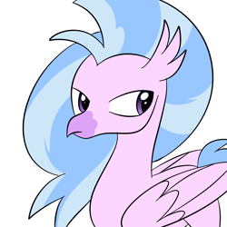 Size: 3000x3000 | Tagged: safe, derpibooru exclusive, silverstream, classical hippogriff, hippogriff, g4, female, high res, simple background, solo, unhappy, white background