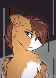 Size: 2100x2900 | Tagged: safe, artist:snowstormbat, oc, oc:barnstorme, pegasus, pony, bust, fluffy, high res, looking at you, male, portrait, solo, stallion, wings