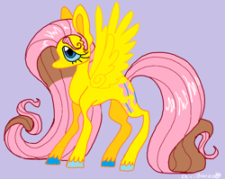 Size: 1082x860 | Tagged: safe, artist:devilbunzz, fluttershy, pegasus, pony, g4, concave belly, long mane, long tail, purple background, simple background, solo, spread wings, tail, wings