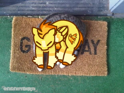 Size: 622x468 | Tagged: safe, artist:velvettheartz, spitfire, cat, pegasus, pony, g4, blaze (coat marking), coat markings, eyes closed, facial markings, female, mare, ponified animal photo, welcome mat