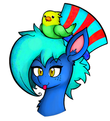 Size: 3834x4196 | Tagged: safe, artist:facadeart, oc, oc only, oc:texture, bird, :p, hat, simple background, solo, tongue out, transparent background