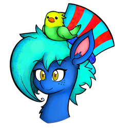 Size: 3834x4196 | Tagged: safe, artist:facadeart, oc, oc only, oc:texture, bird, bust, hat, simple background, smiling, solo, transparent background