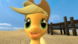Size: 1920x1080 | Tagged: safe, artist:charismatic pony, applejack, earth pony, pony, g4, 3d, female, funny face, gmod, hurr durr, mare, sand, sky, solo