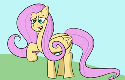 Size: 4562x2920 | Tagged: safe, artist:toonyloo, fluttershy, pegasus, pony, g4, female, solo