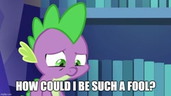 Size: 888x499 | Tagged: safe, edit, edited screencap, screencap, spike, dragon, 28 pranks later, g4, caption, image macro, library, meme, out of context, sad, solo, text, twilight's castle, twilight's castle library