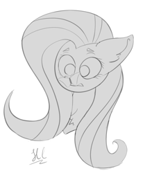 Size: 1550x1858 | Tagged: safe, artist:hlebushek, fluttershy, butterfly, pegasus, pony, g4, bust, butterfly on nose, chest fluff, cute, female, grayscale, insect on nose, insect on someone, mare, monochrome, portrait, simple background, sketch, solo, surprised, white background