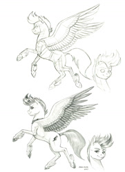 Size: 1100x1516 | Tagged: safe, artist:baron engel, zipp storm, pegasus, pony, g5, female, mare, monochrome, pencil drawing, simple background, traditional art, white background