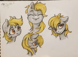 Size: 3046x2242 | Tagged: safe, artist:kovoranu, derpy hooves, pegasus, pony, g4, bust, emotions, face, high res, portrait, solo, traditional art