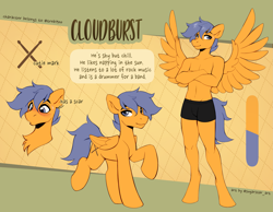 Size: 3831x2970 | Tagged: safe, artist:sugarstar, oc, oc only, oc:cloudburst (trebl900), pegasus, pony, anthro, blushing, boxer briefs, clothes, commissioner:trebl900, crossed arms, cutie mark, high res, male, orange fur, reference sheet, scar, smiling, spread wings, stallion, standing, underwear, wings