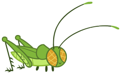 Size: 4937x3007 | Tagged: safe, artist:andoanimalia, cricket (insect), insect, g4, may the best pet win, animal, no pony, simple background, solo, transparent background, vector