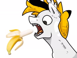 Size: 2048x1536 | Tagged: safe, artist:xtsij, oc, oc only, oc:hory, bat pony, banana, bat pony oc, fangs, food, herbivore, male, open mouth, simple background, teeth, white background
