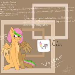 Size: 5000x5000 | Tagged: safe, artist:deadsmoke, oc, oc only, oc:joseph garcia, pegasus, pony, ear fluff, freckles, information, pattern, reference sheet, sitting, solo, spots, text, tongue out