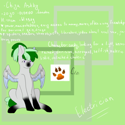 Size: 5000x5000 | Tagged: safe, artist:deadsmoke, oc, oc only, oc:chiya, pegasus, pony, gradient hooves, reference sheet, sitting, solo, unhappy