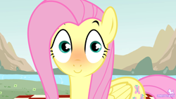 Size: 1920x1080 | Tagged: safe, artist:canaryprimary, fluttershy, pegasus, pony, g4, blushing, cute, eyebrows, faic, female, hypnotoad, looking at you, mare, show accurate, shyabetes, smear frame, solo