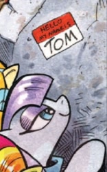 Size: 406x650 | Tagged: safe, artist:andy price, idw, maud pie, tom, earth pony, g4, spoiler:comic41, andy you magnificent bastard, female, mare, rock