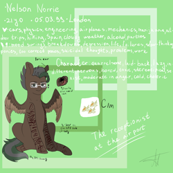 Size: 5000x5000 | Tagged: safe, artist:deadsmoke, oc, oc only, oc:nelson norrie, pegasus, pony, glasses, reference sheet, sitting, solo