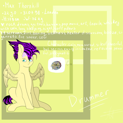 Size: 5000x5000 | Tagged: safe, artist:deadsmoke, oc, oc only, oc:max thornhill, pegasus, pony, reference sheet, solo