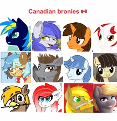 Size: 2627x2713 | Tagged: safe, wild fire, oc, oc:chime maplewood, oc:devin, oc:ej, oc:gabriel, oc:making amends, oc:pad, oc:ultra marine, oc:winter solstice, unnamed oc, bat pony, deer, earth pony, griffon, pegasus, pony, unicorn, g4, brony, canada, canadian, canadian flag, deer oc, female, flag, high res, male, mare, non-pony oc, simple background, stallion, white background