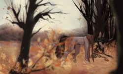 Size: 1280x768 | Tagged: safe, artist:mich, derpibooru exclusive, oc, oc only, oc:mahov, pony, unicorn, autumn, black mane, female, forest, horn, leaves, looking down, male, scenery, scenery porn, solo, stallion, tree, unicorn oc