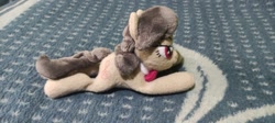 Size: 1156x520 | Tagged: safe, octavia melody, earth pony, pony, g4, beanie (plushie), cute, irl, lying down, photo, plushie