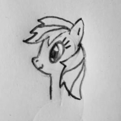 Size: 1000x1000 | Tagged: safe, artist:auro, rainbow dash, pegasus, pony, g4, black and white, grayscale, icon, monochrome, newbie artist training grounds, profile picture, solo, traditional art
