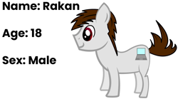 Size: 1897x1051 | Tagged: safe, artist:awesomebrony, oc, oc only, oc:rakan, earth pony, pony, adobe illustrator, closed mouth, computer, description, gray, hooves, laptop computer, male, reference sheet, side view, simple background, smiling, solo, stallion, standing, text, white background