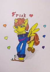 Size: 2516x3643 | Tagged: safe, artist:mettaton, pegasus, pony, clothes, ear fluff, frisk, high res, marker drawing, ponified, solo, spread wings, stick, sweater, traditional art, undertale, wings