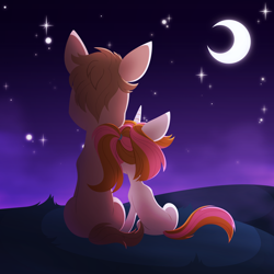 Size: 3000x3000 | Tagged: safe, artist:belka-sempai, oc, oc only, earth pony, pony, unicorn, crescent moon, duo, earth pony oc, grass, high res, hill, horn, moon, night, oc x oc, shipping, sitting, size difference, stars, unicorn oc