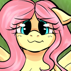 Size: 800x800 | Tagged: safe, artist:marubup, fluttershy, pegasus, pony, g4, :3, bust, close-up, cute, eye clipping through hair, eyebrows, eyebrows visible through hair, female, floppy ears, looking at you, mare, shyabetes, smiling, smiling at you, solo, wings