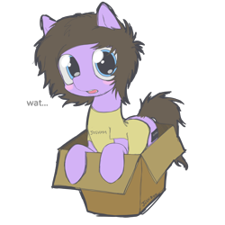 Size: 4500x4500 | Tagged: safe, artist:cactuscruncher, derpibooru exclusive, earth pony, pony, absurd resolution, blue eyes, blushing, box, brown mane, clothes, emo, facial hair, josh franceschi, looking at you, male, messy mane, messy tail, open mouth, ponified, pony in a box, purple coat, shiny eyes, shirt, simple background, solo, stallion, t-shirt, tail, talking to viewer, transparent background, you me at six