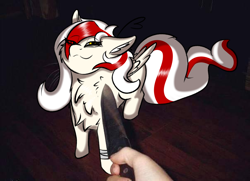 Size: 1208x876 | Tagged: source needed, safe, artist:aryn, oc, oc only, oc:awya lightfeather, pegasus, pony, chest fluff, eye clipping through hair, knife, knife cat, looking at you, meme, solo focus