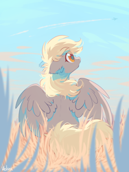 Size: 1500x2000 | Tagged: safe, artist:mirtash, derpy hooves, pegasus, pony, g4, contrail, cute, derpabetes, ear fluff, female, field, floppy ears, foreground, grass, looking up, mare, outdoors, partially open wings, plane, rear view, redraw, sitting, sky, solo, wings