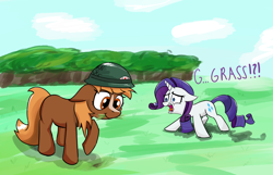 Size: 1866x1200 | Tagged: safe, artist:nonnyanon, rarity, earth pony, pony, unicorn, g4, and then there's rarity, drawthread, duo, eating, eating grass, female, field, furry confusion, grass, helmet, herbivore, horrified, horses doing horse things, mare, ponified, screaming, sergeant reckless, shocked, uncouth, warpone