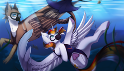Size: 2274x1297 | Tagged: safe, artist:miralichan, oc, oc only, alicorn, griffon, manta ray, pegasus, pony, claws, clothes, commission, crepuscular rays, digital art, diving, feather, female, flowing mane, flowing tail, horn, looking up, male, ocean, one-piece swimsuit, seaweed, spread wings, sunlight, swimming, swimsuit, tail, underhoof, underwater, water, wings