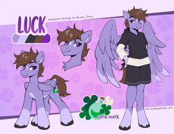 Size: 3564x2752 | Tagged: safe, artist:sugarstar, oc, oc:luck, pegasus, pony, anthro, clothes, cutie mark, high res, male, reference sheet, smiling, solo, stallion, standing, wings