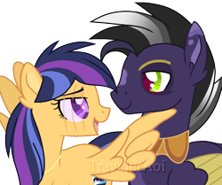 Size: 1249x1042 | Tagged: safe, artist:traveleraoi, oc, oc only, oc:nova star sparkle, oc:xipilli, hybrid, pegasus, pony, base used, blind, blind eye, colored pupils, colored wings, duo, duo male and female, eyebrows, facial markings, female, flirting, gradient mane, interspecies offspring, jewelry, looking at each other, looking at someone, male, mare, necklace, next generation, oc x oc, offspring, offspring shipping, parent:ahuizotl, parent:daring do, parent:flash sentry, parent:twilight sparkle, parents:darizotl, parents:flashlight, pegasus oc, peytral, raised eyebrow, scar, shipping, simple background, stallion, straight, transparent background, watermark, wing hands, wings
