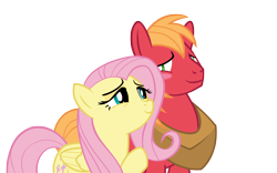 Size: 4000x2500 | Tagged: safe, anonymous artist, big macintosh, fluttershy, earth pony, pegasus, pony, g4, the last crusade, bedroom eyes, blushing, duo, female, high res, looking at each other, looking at someone, male, mare, ship:fluttermac, shipping, simple background, smiling, smiling at each other, stallion, straight, transparent background, vector