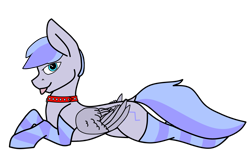 Size: 2956x1909 | Tagged: safe, artist:dsksh, oc, oc only, oc:discoordination, pegasus, pony, clothes, collar, folded wings, looking at you, lying, male, pegasus oc, simple background, socks, solo, stallion, striped socks, tongue out, transparent background, wings