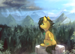 Size: 3368x2439 | Tagged: safe, artist:mirroredsea, oc, oc only, oc:lightning bug, pegasus, pony, fanfic:song of seven, black mane, detailed background, fanfic art, female, forest, high res, horizon, mare, mountain, mountain range, pegasus oc, pillar, scenery, sitting, solo, storm, stormcloud, wings
