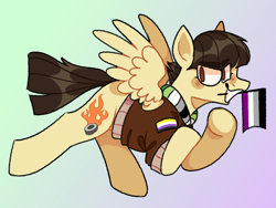 Size: 1080x810 | Tagged: safe, artist:spaceoreosxoxo, wild fire, pegasus, pony, g4, aroace, aromantic, aromantic pride flag, asexual, asexual pride flag, clothes, gradient background, jacket, nonbinary, nonbinary pride flag, pride, pride flag, solo