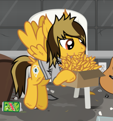 Size: 1262x1350 | Tagged: safe, artist:lightningbolt, derpibooru exclusive, pegasus, pony, g4, .svg available, alex gaskarth, all time low, annoyed, box, butt fluff, cardboard box, carrying, chair, cheek fluff, clothes, drink, dyed mane, dyed tail, feather, flying, frown, hoof fluff, hoof hold, indoors, looking down, male, messy room, mountain dew, outlet, ponified, shirt, show accurate, soda can, solo, spread wings, stallion, svg, t-shirt, tail, tail feathers, vector, wing fluff, wings