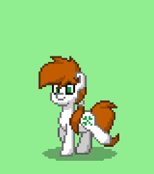 Size: 1280x1440 | Tagged: safe, oc, oc only, earth pony, pony, pony town, animated, green background, ireland, nation ponies, ponified, shamrock, simple background, solo