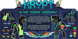 Size: 4000x2000 | Tagged: safe, artist:chvrchgrim, oc, oc:krypt, cyborg, pegasus, pony, augmented, cargo pants, clothes, colored wings, cybernetic eyes, cybernetic pony, cybernetic wings, cyberpunk, ear piercing, hoodie, male, multicolored hair, multicolored wings, outfit, outfits, pants, pegasus oc, pegasus wings, piercing, reference sheet, solo, stallion, wings