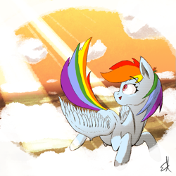 Size: 833x832 | Tagged: safe, artist:gorebox, rainbow dash, pegasus, pony, g4, cloud, crepuscular rays, female, flying, halftone, mare, smiling, solo, spread wings, wings