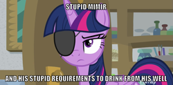 Size: 1217x600 | Tagged: safe, edit, edited screencap, editor:twi clown, screencap, twilight sparkle, alicorn, pony, friendship university, g4, caption, disguise, eyepatch, eyepatch (disguise), female, image macro, mare, norse mythology, reference, solo, text, twilight sparkle (alicorn)