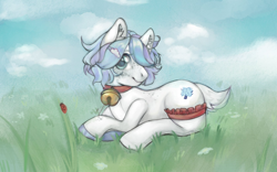 Size: 1680x1050 | Tagged: safe, artist:corpsplant, oc, oc only, earth pony, pony, bell, bell collar, collar, earth pony oc, female, grass, solo