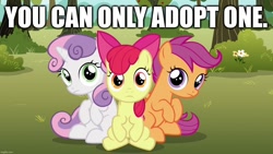 Size: 1280x720 | Tagged: safe, edit, edited screencap, screencap, apple bloom, scootaloo, sweetie belle, earth pony, pegasus, pony, unicorn, g4, the fault in our cutie marks, adoption, bronybait, caption, cute, cutie mark crusaders, female, filly, foal, frown, image macro, looking at you, sadistic choice, sitting, text, trio